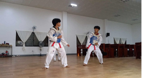 Taekwondo & Sports